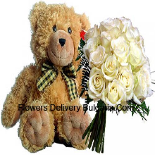 19 Rose Bianche con Orso di Peluche da 14 Pollici