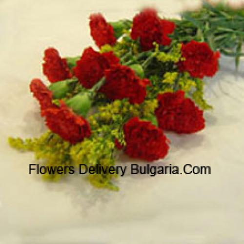 9 Beautiful Red Carnations