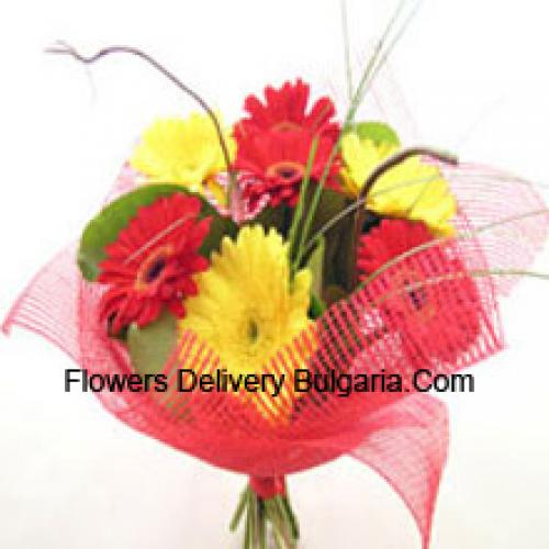 Cute Mixed Gerberas