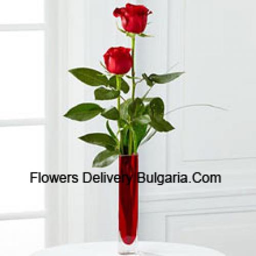 2 Dolci Rose Rosse in Vaso