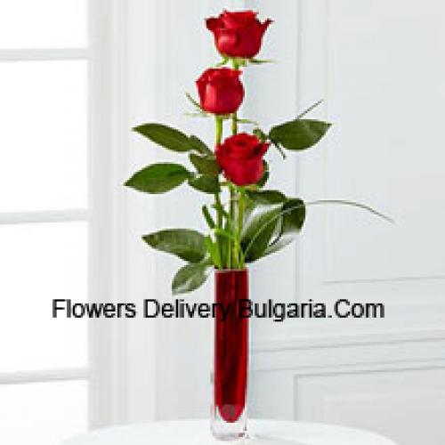 3 Cute Red Roses