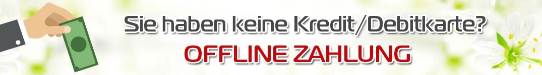 Offline-Zahlung